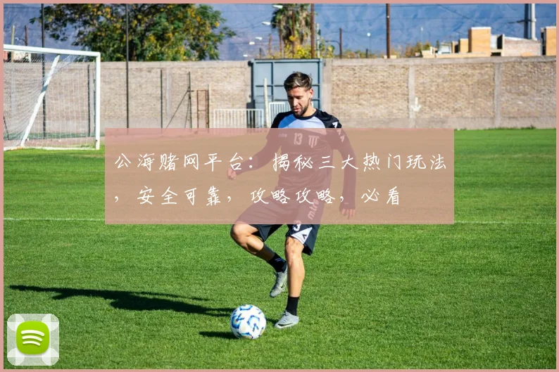 公海赌网平台：揭秘三大热门玩法，安全可靠，攻略攻略，必看