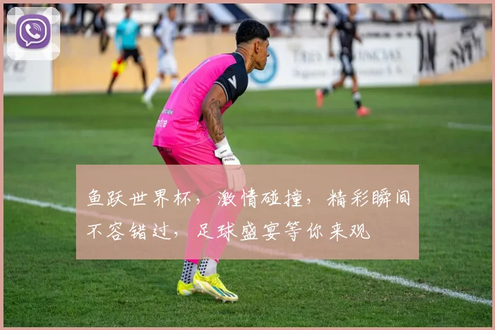 鱼跃世界杯，激情碰撞，精彩瞬间不容错过，足球盛宴等你来观