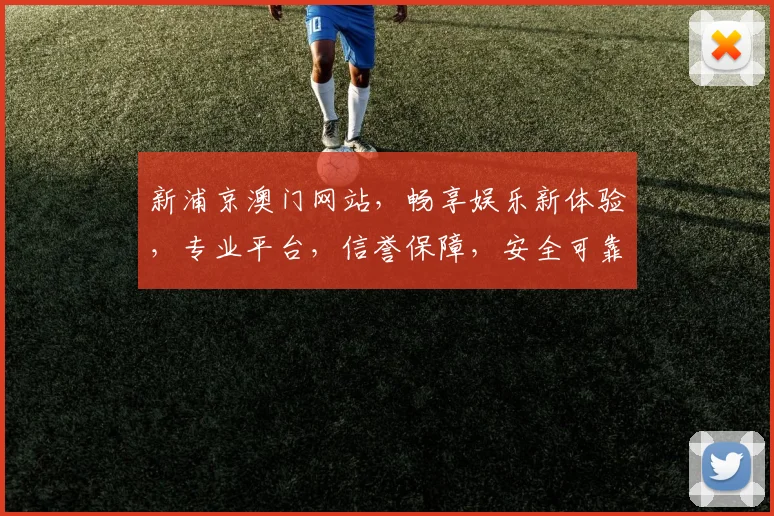新浦京澳门网站，畅享娱乐新体验，专业平台，信誉保障，安全可靠，不容错过