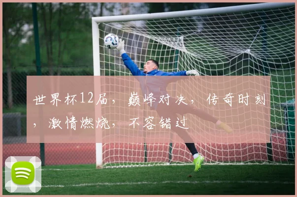 世界杯12届，巅峰对决，传奇时刻，激情燃烧，不容错过