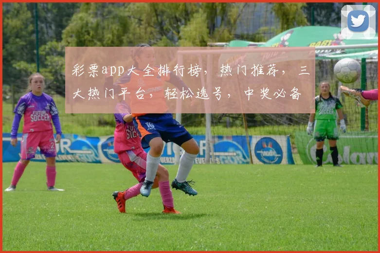 彩票app大全排行榜，热门推荐，三大热门平台，轻松选号，中奖必备