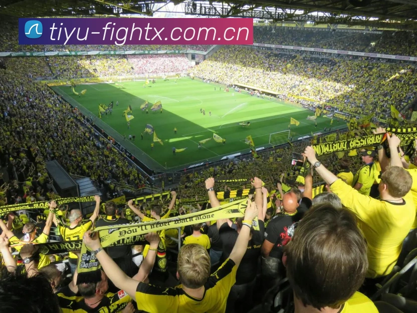 多彩内容专区